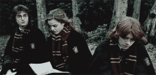 Hermione Granger GIF - Hermione Granger GIFs