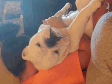 Monday Snuggles GIF - Monday Snuggles Dont Want To GIFs