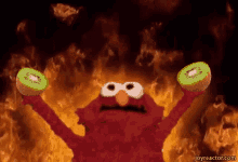 Chaos Elmo GIF - Chaos Elmo Elmo Fire GIFs