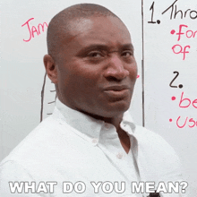 What Do You Mean James GIF - What Do You Mean James Engvid GIFs