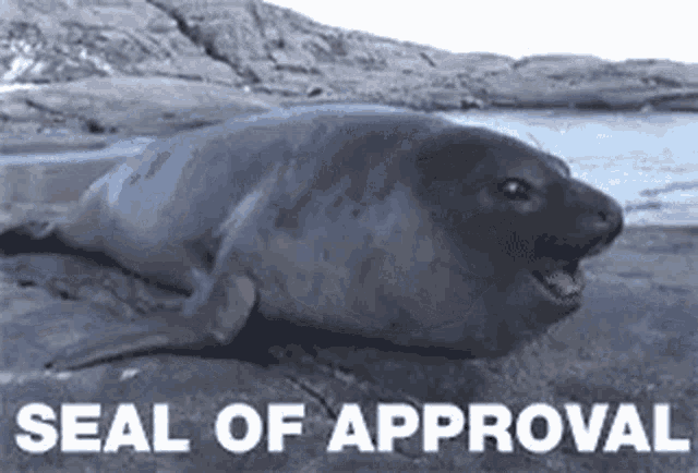 seal-seal-of-approval.gif