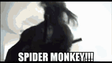 Monkey Spider GIF - Monkey Spider Deadpool GIFs