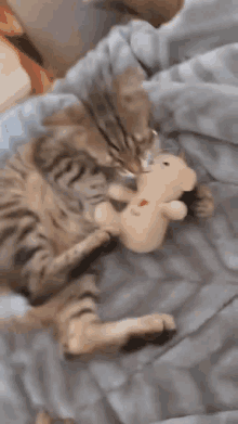 Angy Cat Bite GIF - Angy Cat Bite Teddy Bear GIFs