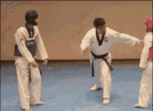 Taekwondo Fight GIF - Taekwondo Fight Ready GIFs