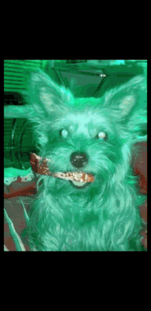 Nuclear Doge GIF - Nuclear Doge GIFs