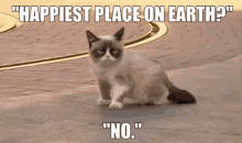 Happiest Place On Nope. - Grumpy Cat GIF - Grumpy Cat Disneyland Happy GIFs