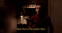 Spider Man Homecoming GIF - Spider Man Homecoming Peter Parker GIFs