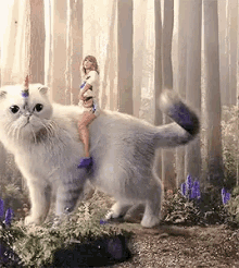 Bubbles Taylor Swift GIF - Bubbles Taylor Swift Unicorn Cat GIFs