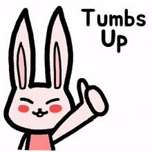 animal bunny rabbit cute thimbs up
