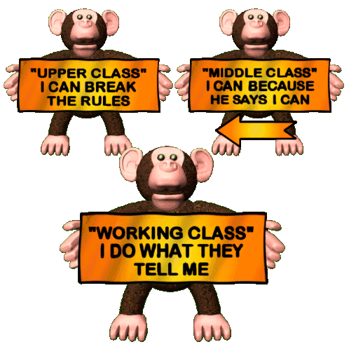 Monkeys Upper Class Sticker - Monkeys Upper Class Middle Class Stickers