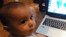 a baby is looking at a laptop computer .