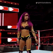 a female wrestler with purple hair is standing in a ring .