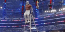 Ladder Slam GIF - Take Down Wrestle Mania Ladder GIFs