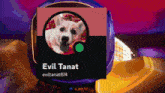 a picture of a white dog with the name evil tanat