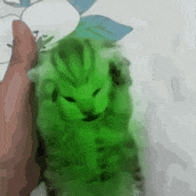 GIF