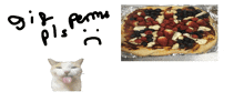 a picture of a pizza with strawberries and blueberries next to a cat