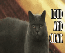 Loud And Clear Plotting GIF - Loud And Clear Plotting Understood GIFs