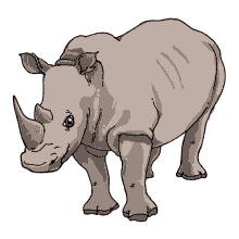 lipped rhinoceros