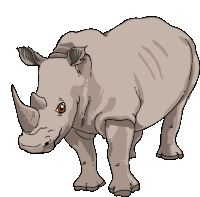 Rhinoceros White Rhinoceros Sticker