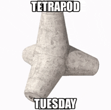 Tetrapod Tuesday Yergo GIF - Tetrapod Tuesday Tetrapod Yergo GIFs