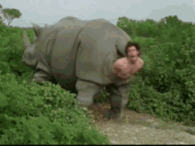 Ace Ventura Movie Rhino Birth Scene GIF