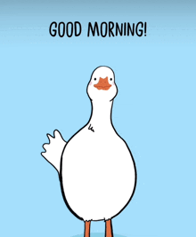 Morning Duck GIF - Morning Duck GIFs