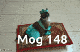 Mogcat Mog 148 GIF - Mogcat Mog Mog 148 GIFs
