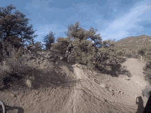 Mountain Biking GIF - Mountain Biking Down Hill GIFs