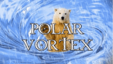 Polar Vortex Hi GIF