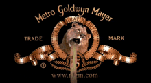 a logo for metro goldwyn mayer with a lion on it