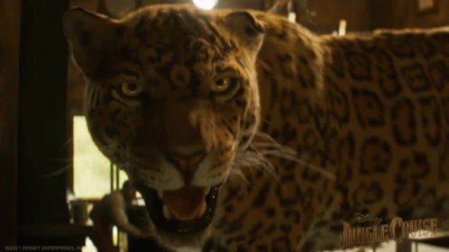 Jaguar Attack Jungle Cruise GIF - Jaguar Attack Jungle Cruise Hostile Animal  - Discover & Share GIFs