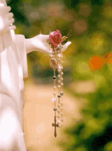 virgin mary rose flower sparkle