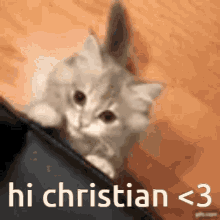 Hi Christian Maze Is Real GIF - Hi Christian Maze Is Real Meow Christian GIFs
