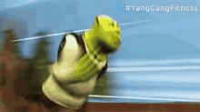 Shrek Yanggangfitness GIF - Shrek Yanggangfitness Running GIFs