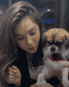 a woman is holding a small brown and white dog in her arms