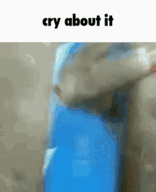 Cry Cryaboutit GIF - Cry Cryaboutit Cry_about_it GIFs