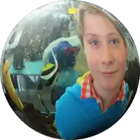 a sphere with a reflection of a person in it