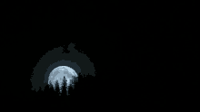 a full moon is rising in the night sky behind a forest .