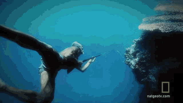 Youngbloods Spearfishing - Submerged With A Breath animated gif