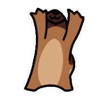 a cartoon drawing of a squirrel hanging upside down with its arms outstretched