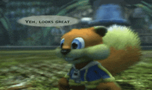 a squirrel in a blue hat says yeh looks great