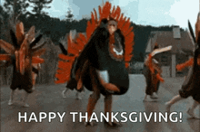Thanksgiving Turkey GIF - Thanksgiving Turkey Dance GIFs