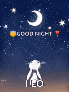 Goodnight Rabbit GIF - Goodnight Rabbit Stars GIFs