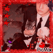 a man in a suit and tie is holding a chinchilla in his arms