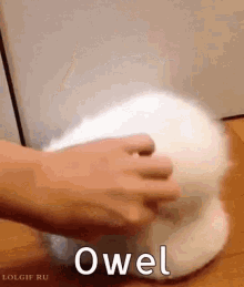 Owel Owl GIF - Owel Owl Owl Anti Virus GIFs