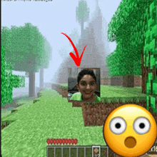 a screenshot of a video game with a surprised smiley face