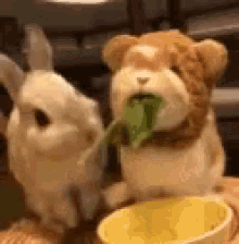 Share Food GIF - Share Food Bunny GIFs