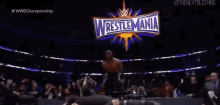 a man in a suit and tie is standing next to a man in a wrestling ring .
