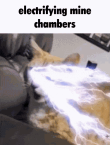 Cat Meme GIF - Cat Meme Tally Hall GIFs
