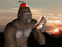 Gorilla Hot Dog GIF